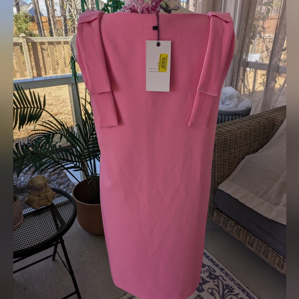 Pink Dress - Picture 10 of 13